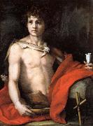 Andrea del Sarto The Young St.John oil painting artist